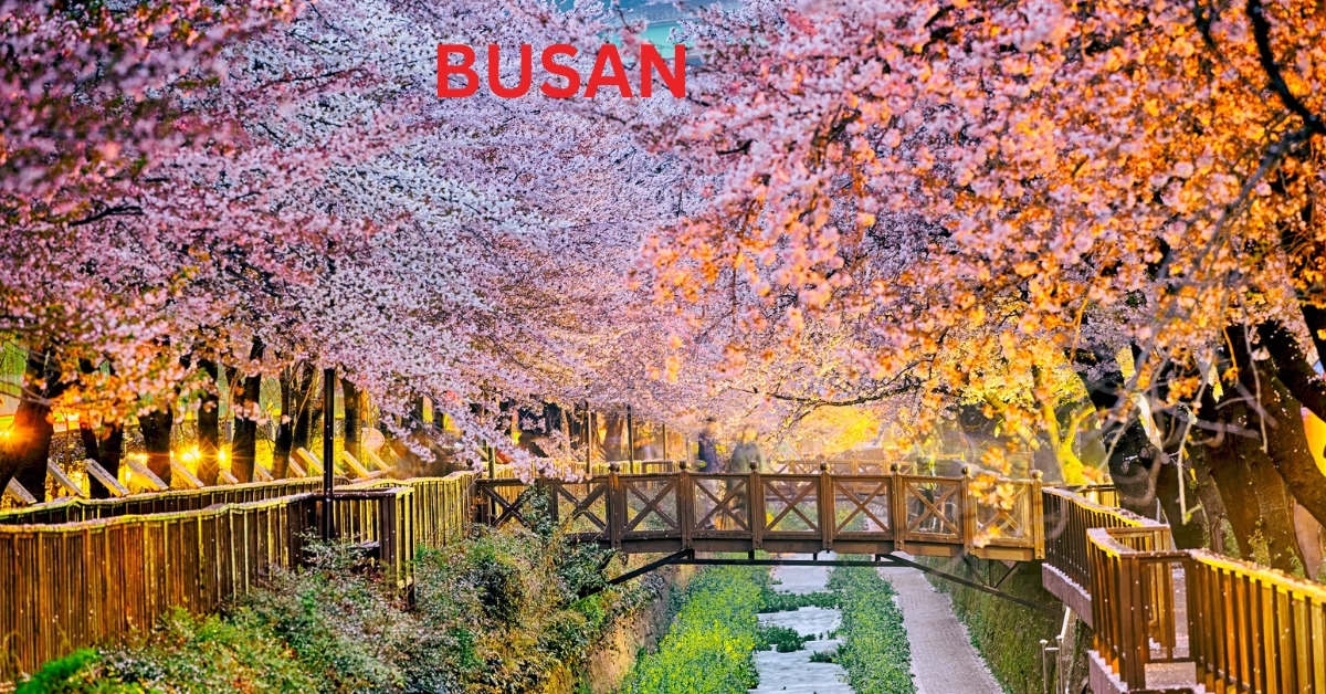 7 days 6 nights tour package in South Korea