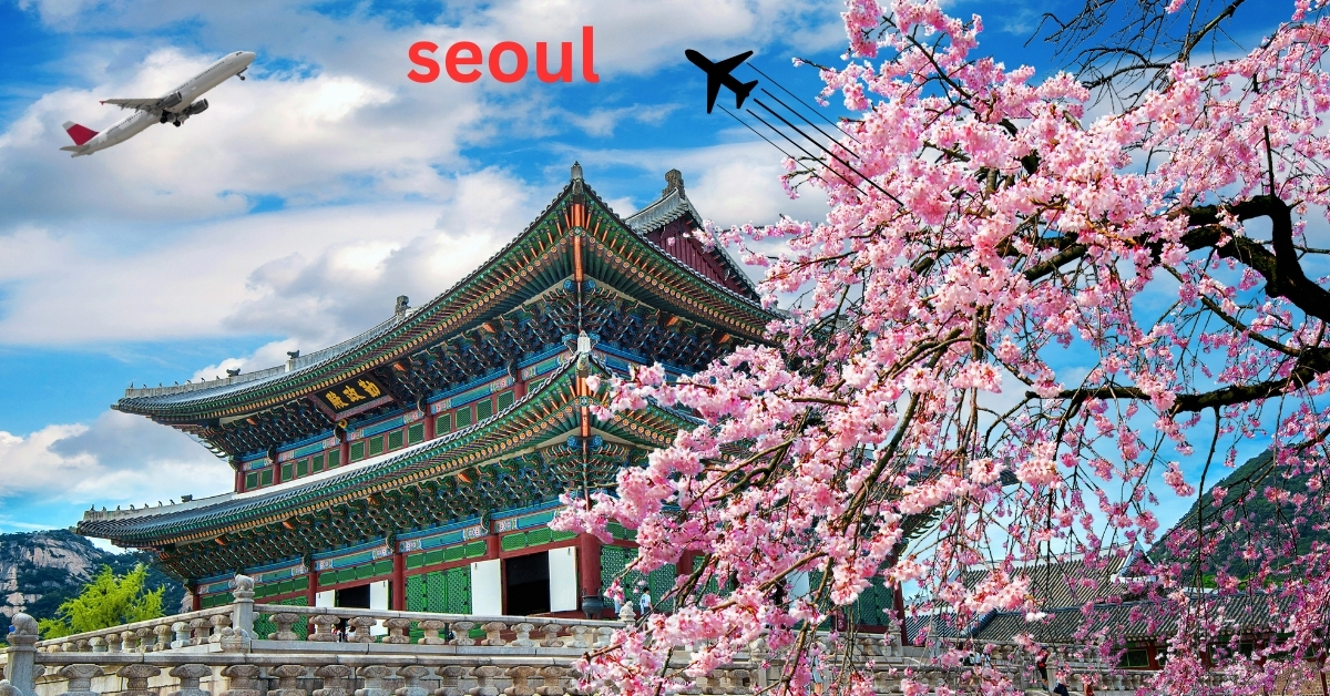 5 days 4 nigts tour package in South Korea