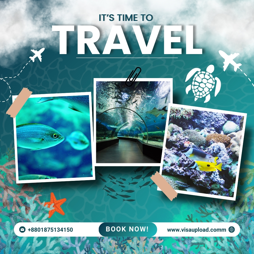 3 Days 2 Nights Dubai Aquarium & Underwater Zoo Tour Package