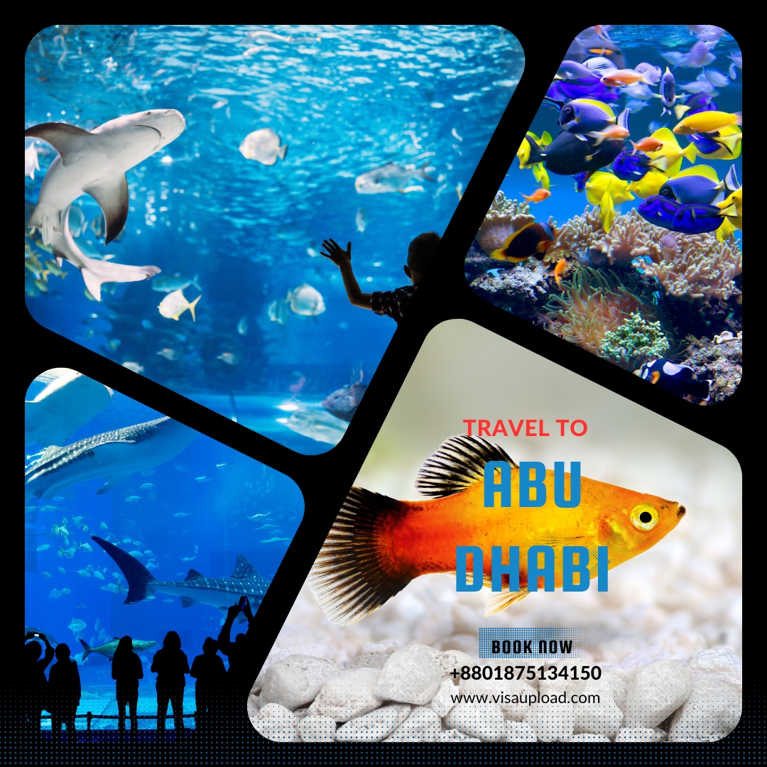 3 Days, 2 Nights National Aquarium Abu Dhabi Tour Package